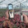testo 635-1 - Sıcaklık ve nem ölçüm cihazı