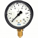 Model 113.13 Bourdon tube pressure gauge, copper alloy