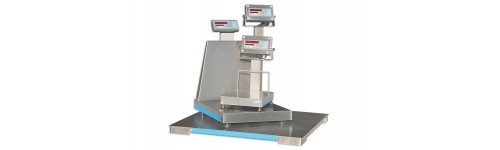 Measurement (Scale-Flow) Elements